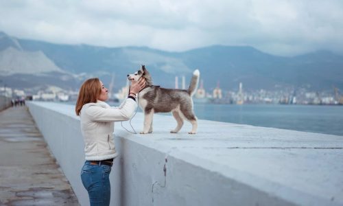 nikita-kuvshinov-596389-unsplash