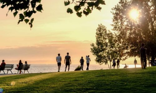 summer-seaside-strolling-in-seattle-park-at-dusk-rltheis_t20_9laP9K